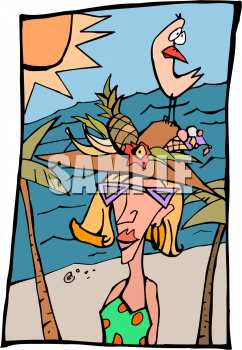 Bird Clipart