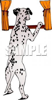 Pet Clipart