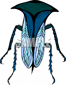 Insect Clipart