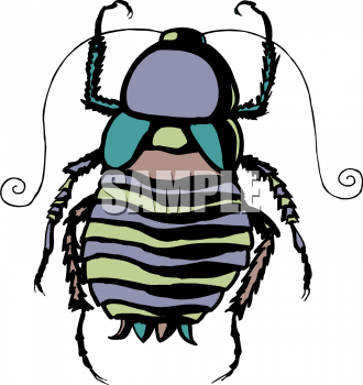 Insect Clipart