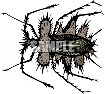 Insect Clipart