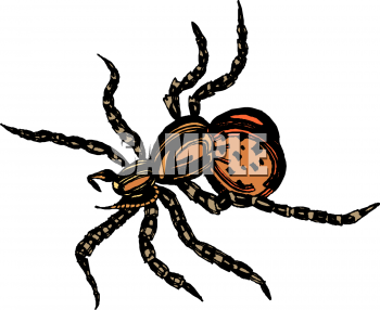 Insect Clipart