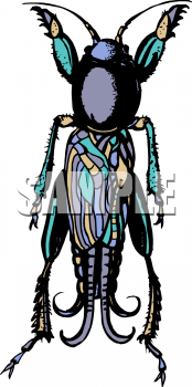 Insect Clipart
