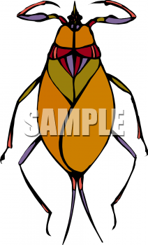 Insect Clipart