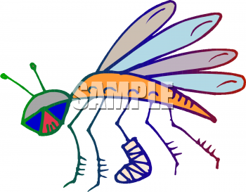 Insect Clipart