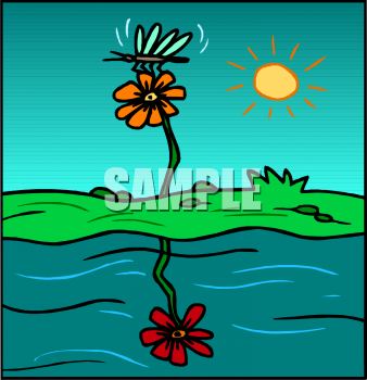 Insect Clipart