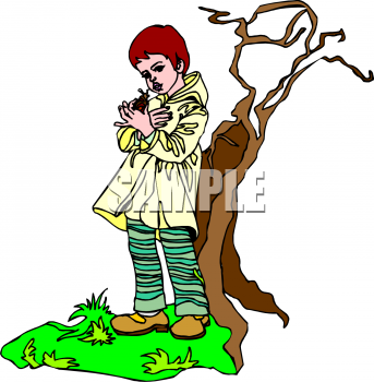 Insect Clipart