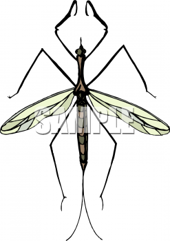 Insect Clipart