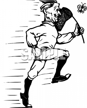 Insect Clipart