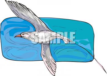 Nature and Scenic Clipart