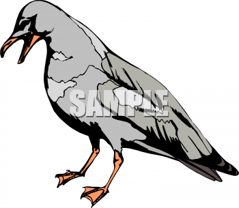 Nature and Scenic Clipart