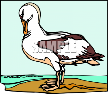 Nature and Scenic Clipart