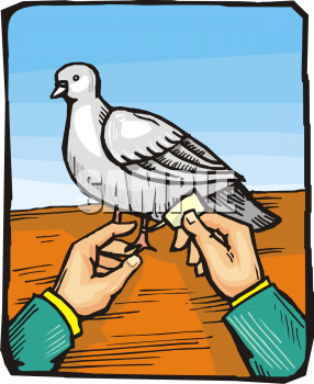 Nature and Scenic Clipart