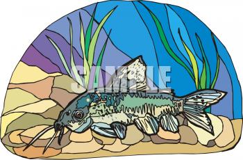 Fish and Sea Life Clipart