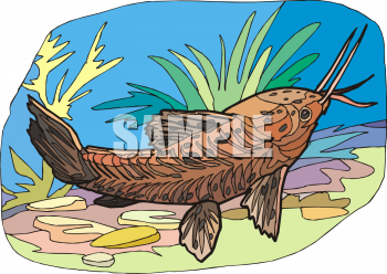 Fish and Sea Life Clipart