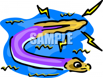 Fish and Sea Life Clipart