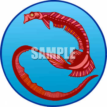 Fish and Sea Life Clipart