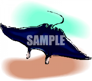 Fish and Sea Life Clipart