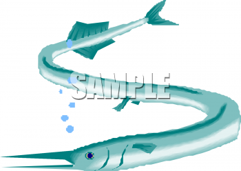 Fish and Sea Life Clipart