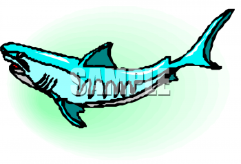 Fish and Sea Life Clipart