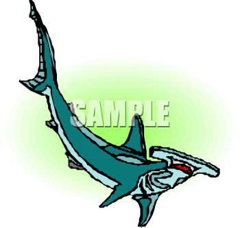 Fish and Sea Life Clipart