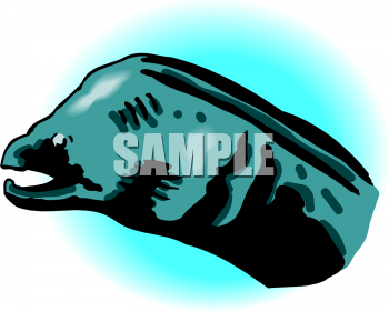 Fish and Sea Life Clipart