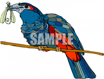 Insect Clipart