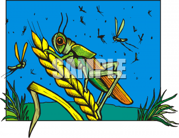 Farm Produce Clipart