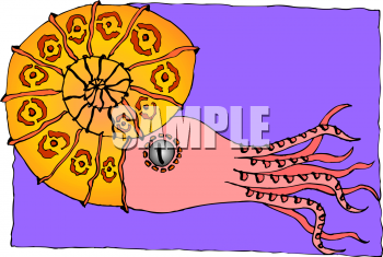 Fish and Sea Life Clipart