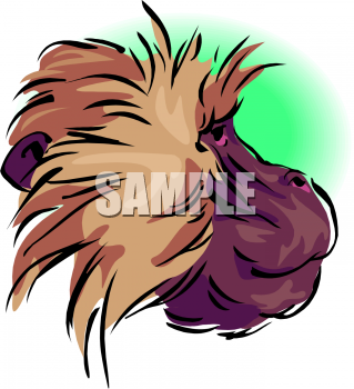 Primate Clipart