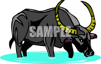 Farm Animal Clipart