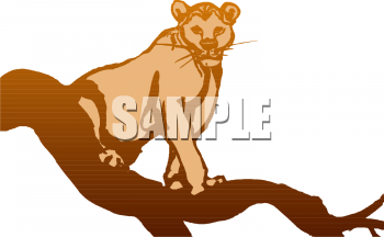 Big Cat Clipart