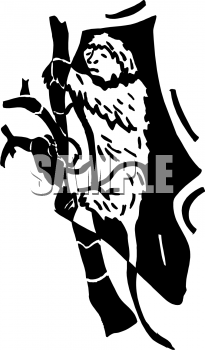 Primate Clipart