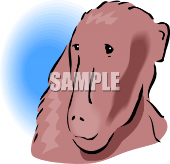 Primate Clipart