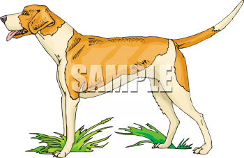 Pet Clipart