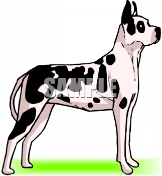 Dog Clipart
