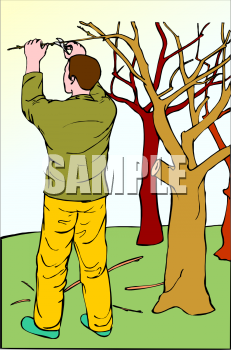 Grass and Tree Clipart