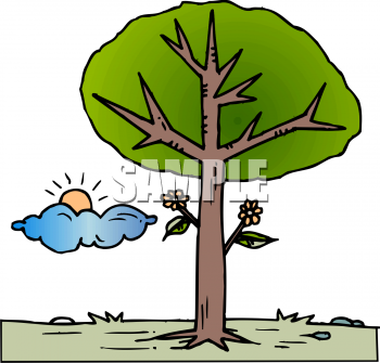 Grass and Tree Clipart