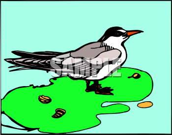 Nature and Scenic Clipart