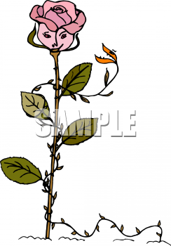 Nature and Scenic Clipart