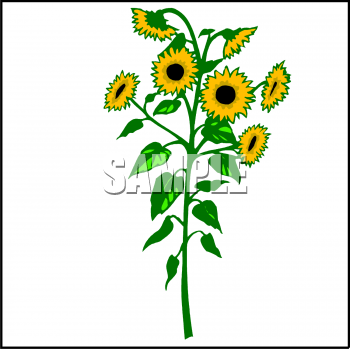 Nature and Scenic Clipart