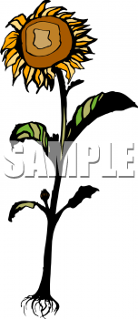 Nature and Scenic Clipart