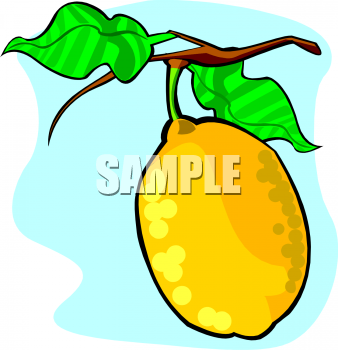 Nature and Scenic Clipart