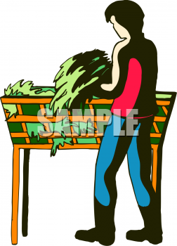 Nature and Scenic Clipart