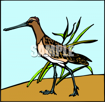 Nature and Scenic Clipart