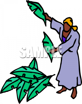 Nature and Scenic Clipart