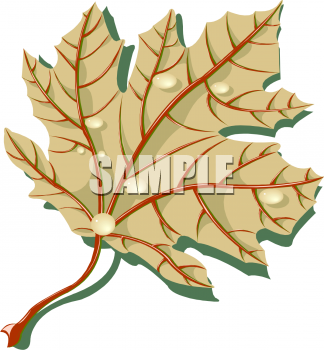 Nature and Scenic Clipart