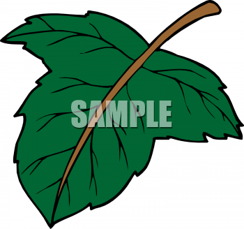 Nature and Scenic Clipart