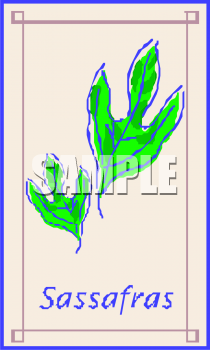 Nature and Scenic Clipart