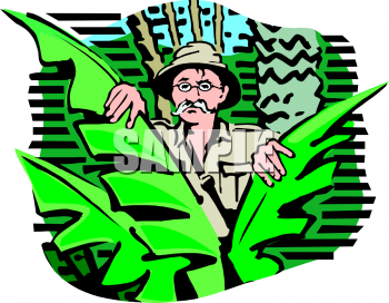 Nature and Scenic Clipart